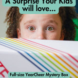 Add a Mystery Holiday box for just $20