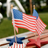 Americana Flag Star Decor Set